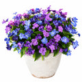 Planta Artificial de Flores Moradas y Azules en Maceta Decorativa